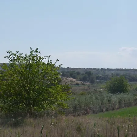 Altos Del Eden Guardamar del Segura